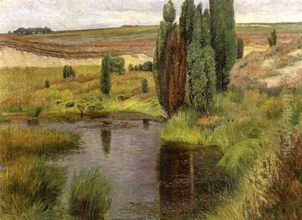 Moorlandschaft - view 1