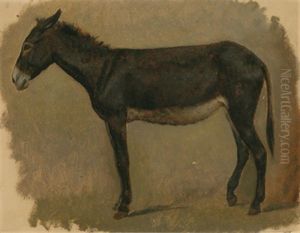 Studie Eines Esels Im Profil by Raffaello Pontremoli