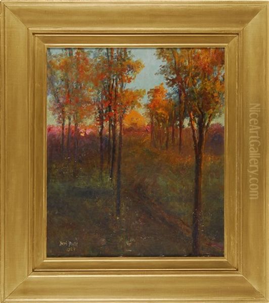 Sunset Reflections - view 1