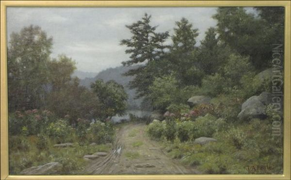 Woodland Path - view 1