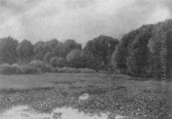 Landscape - view 1