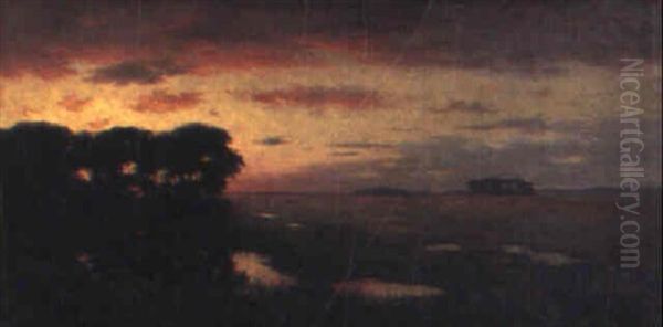 Sunrise On The Swamp - view 1