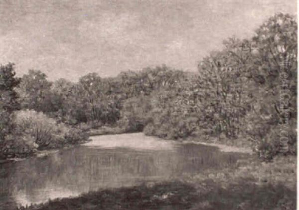 Tranquil River - view 1