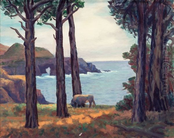 Along The California Coast - view 1