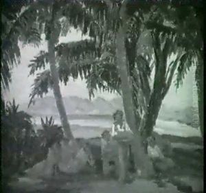 A Pair Of Hawaiian Coastal Scenes by Horatio Nelson Poole