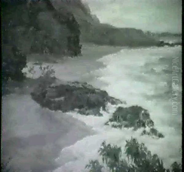 Kauai Coastal Scene - view 1