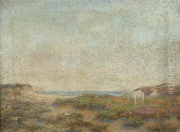 White Horse Along Beach - view 1