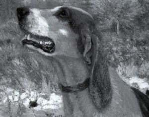 Young Kentucky Hound "radnor Hunt" by Henry Rankin Poore