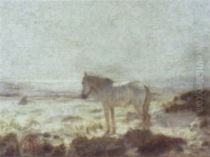 The Old White Horse Of The Dunes The Old White Horse Of The Dunes