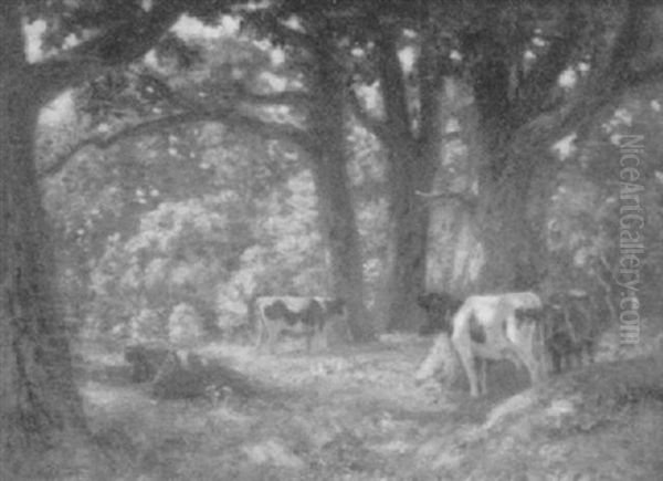 Cows At The Edge Of The Woods - view 1