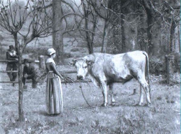 The Tethered Bull - view 1