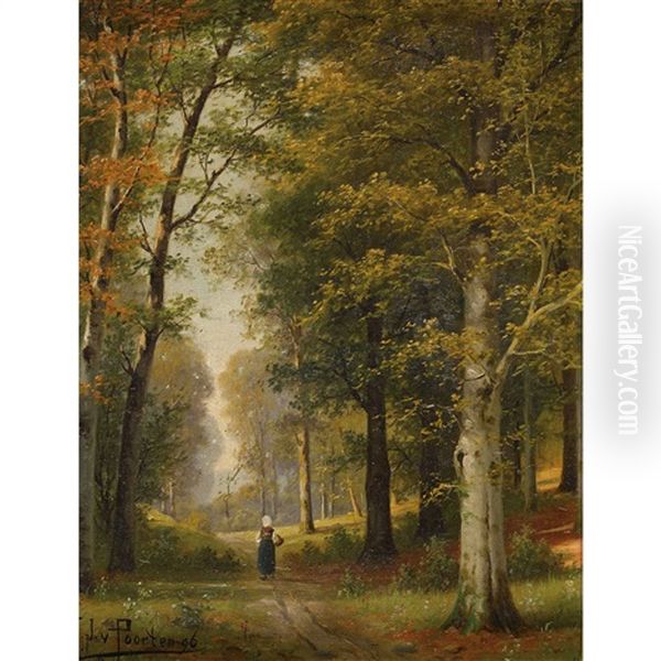 Sonnige Waldlandschaft Mit Bauerin - view 1