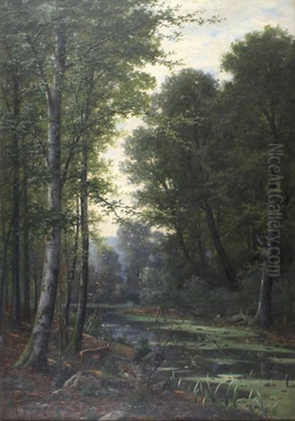 Rohrender Hirsch Am Waldbach - view 1