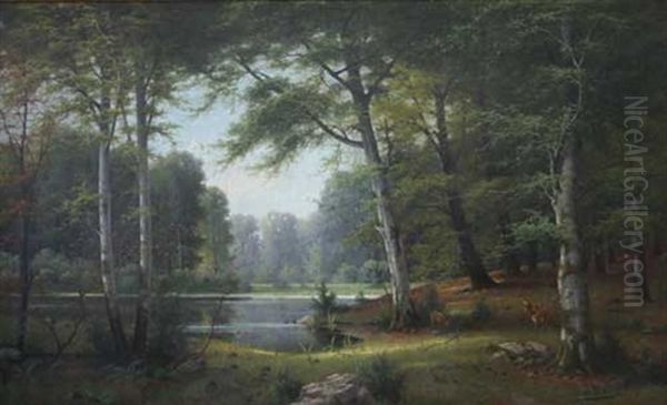 Laubwald Mit See Und Rotwild - view 1