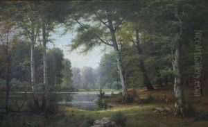 Laubwald Mit See Und Rotwild