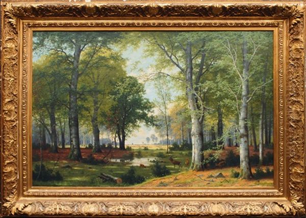 Evening In The Forest - view 1