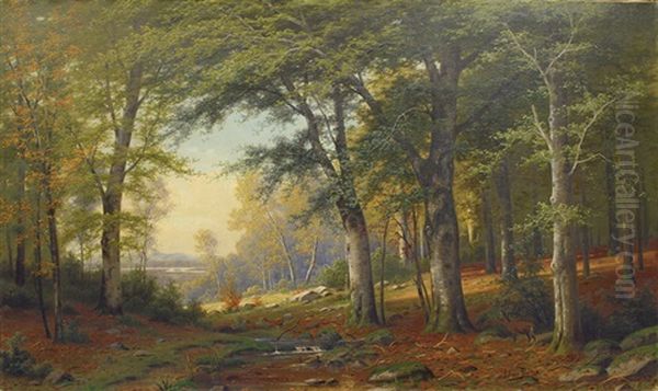 In The Forest - view 1