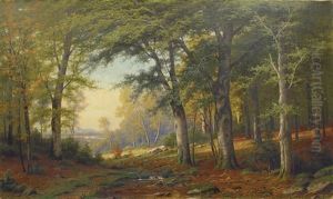 In The Forest In The Forest