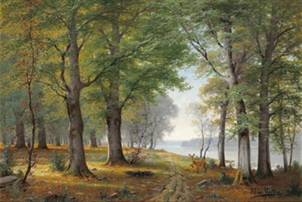 Rehe Am Waldesrand - view 1