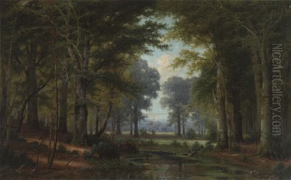 Waldlichtung - view 1