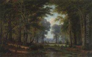 Waldlichtung