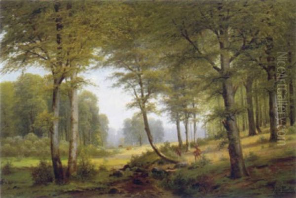 Rehe Auf Der Waldlichtung - view 1