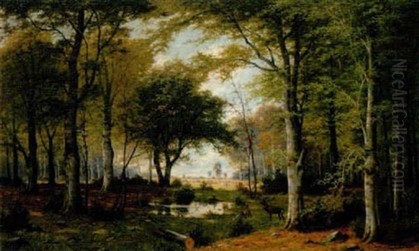 Rotwildrudel In Einer Waldlandschaft - view 1