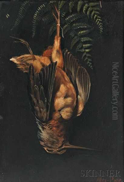 Hanging Woodcock With Fern - view 1