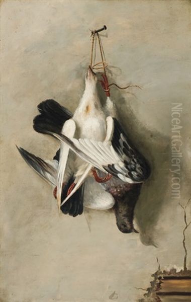 Passenger Pigeons - view 1