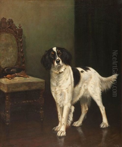 Waiting For Its Master - view 1