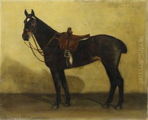 Brunette by Alexander Pope