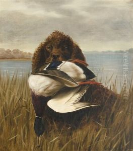 The Water Spaniel The Water Spaniel