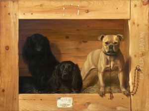 Dogs In A Kennel Dogs In A Kennel
