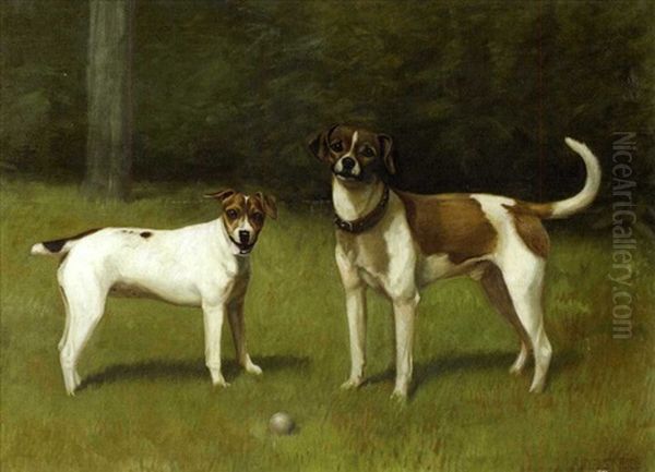 Beagle And Pup With Ball In A Landscape - view 1