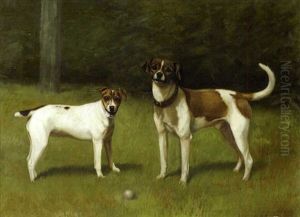 Beagle And Pup With Ball In A Landscape