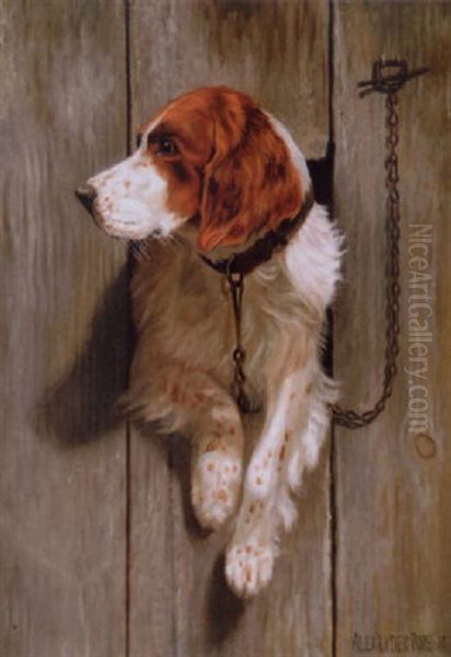 Awaiting His Master (an English Spaniel) - view 1