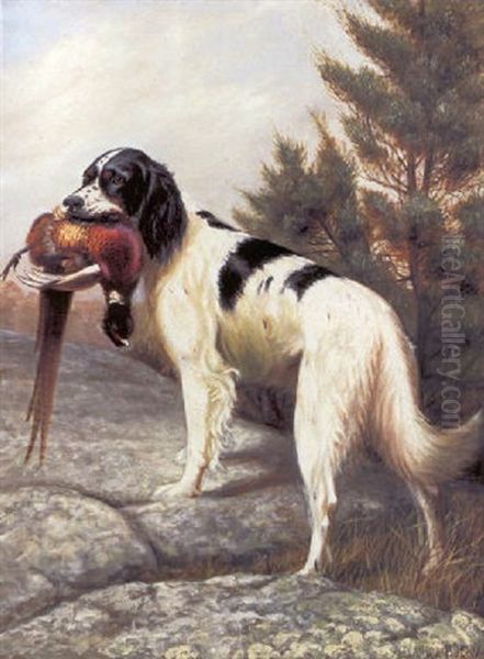 English Setter With Pheasant - view 1