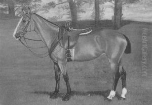 Mare Saddled Up by Alexander Pope