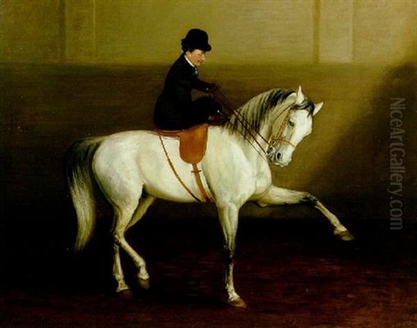 The Morning Lesson - A Lady On Her Grey Horse - view 1
