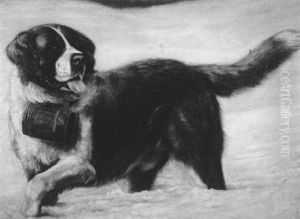 A Saint Bernard In The Snow