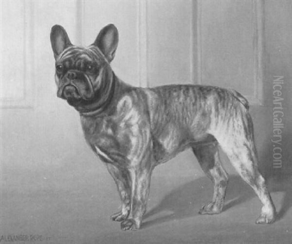 Portrait Of La Belle Wanda - view 1