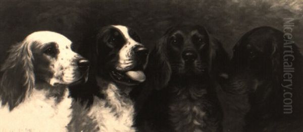 A Portrait Of Four Setters - view 1