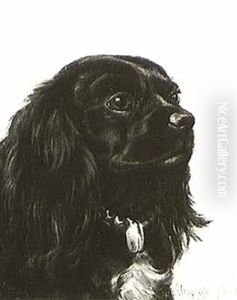 Vera, A Spaniel