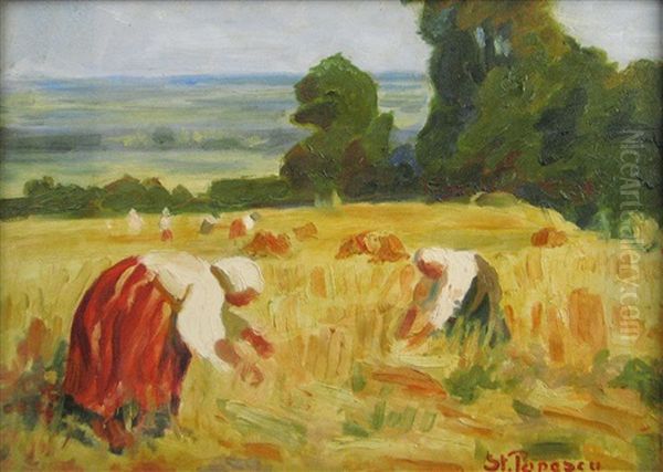 Harvesting - view 1