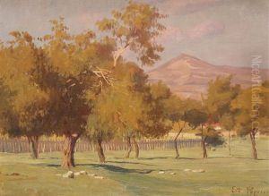 Orchard With Walnuts