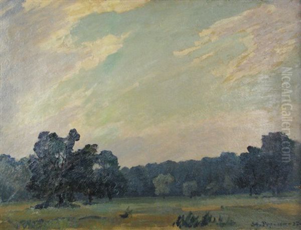 Forest Border - view 1