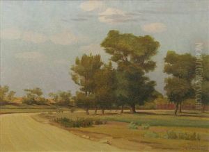 The Trees Near The Road by Stefan Popescu