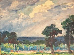 Landscape With Vineyard In Prahova Valley by Stefan Popescu