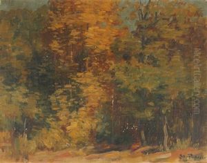 Untitled - Forest Edge by Stefan Popescu
