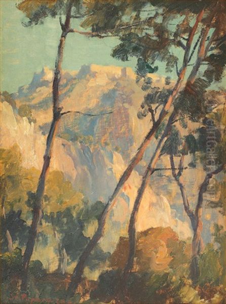 View Towards Rasnov Stronghold - view 1